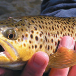Southern MN All-Outdoors Atlas & Field Guide pg. 104-105