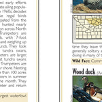 Southern MN All-Outdoors Atlas & Field Guide pg. 146-147