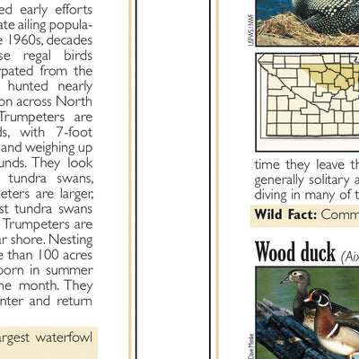 Southern MN All-Outdoors Atlas & Field Guide pg. 146-147