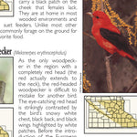 Southern MN All-Outdoors Atlas & Field Guide pg. 146-147
