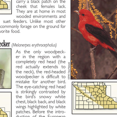 Southern MN All-Outdoors Atlas & Field Guide pg. 146-147