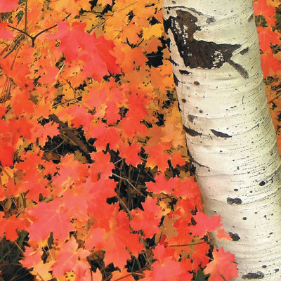 Southern MN All-Outdoors Atlas & Field Guide pg. 132-133