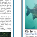 Southern MN All-Outdoors Atlas & Field Guide pg. 102-103
