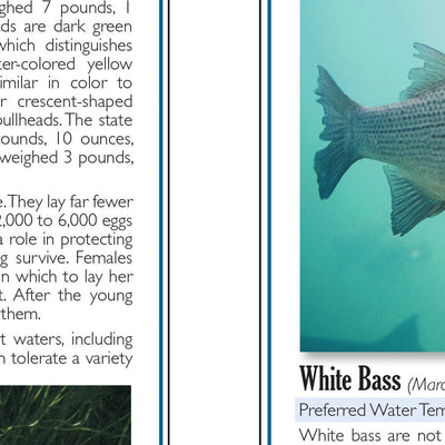 Southern MN All-Outdoors Atlas & Field Guide pg. 102-103