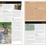 Southern MN All-Outdoors Atlas & Field Guide pg. 124-125