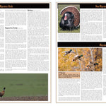 Southern MN All-Outdoors Atlas & Field Guide pg. 126-127