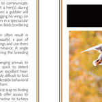 Southern MN All-Outdoors Atlas & Field Guide pg. 126-127