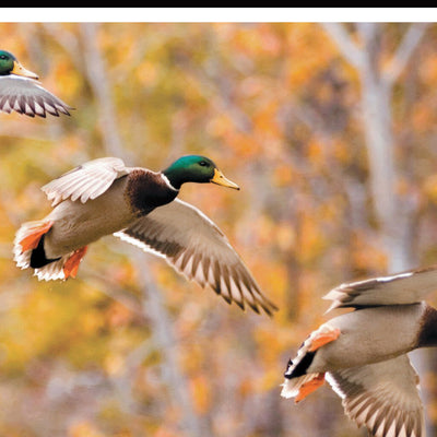 Southern MN All-Outdoors Atlas & Field Guide pg. 126-127
