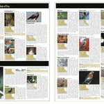 Southern MN All-Outdoors Atlas & Field Guide pg. 144-145