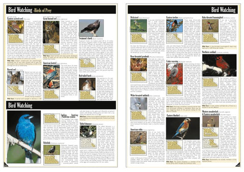 Southern MN All-Outdoors Atlas & Field Guide pg. 144-145
