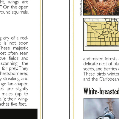 Southern MN All-Outdoors Atlas & Field Guide pg. 144-145