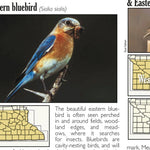 Southern MN All-Outdoors Atlas & Field Guide pg. 144-145