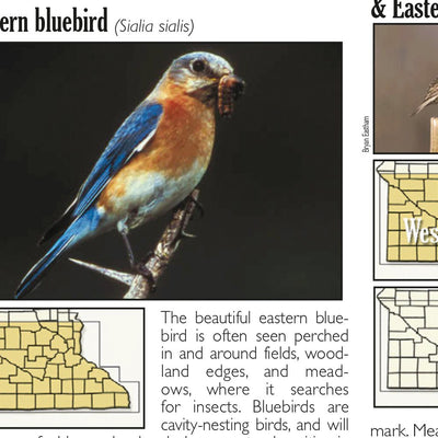 Southern MN All-Outdoors Atlas & Field Guide pg. 144-145