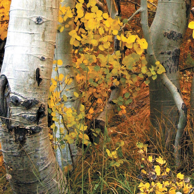 Southern MN All-Outdoors Atlas & Field Guide pg. 136-137