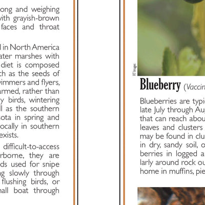 Southern MN All-Outdoors Atlas & Field Guide pg. 128-129