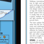 Northeastern MN All-Outdoors Atlas & Field Guide pg. 100-101