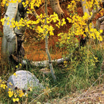 Northeastern MN All-Outdoors Atlas & Field Guide pg. 026-027