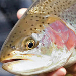 Northeastern MN All-Outdoors Atlas & Field Guide pg. 104-105