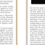 Northeastern MN All-Outdoors Atlas & Field Guide pg. 120-121