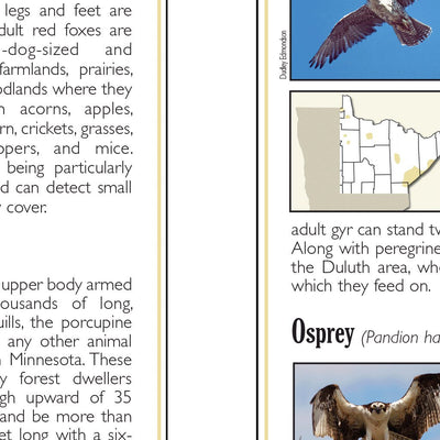Northeastern MN All-Outdoors Atlas & Field Guide pg. 144-145