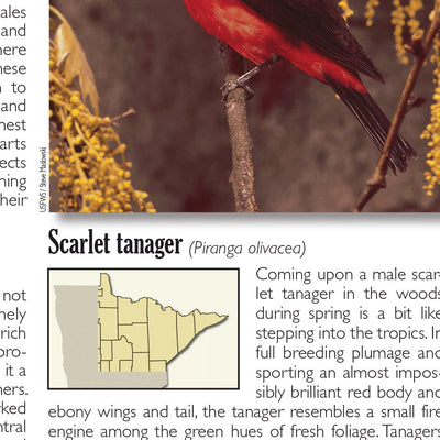 Northeastern MN All-Outdoors Atlas & Field Guide pg. 148-149