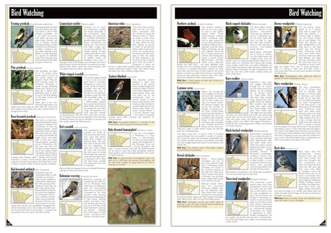 Northeastern MN All-Outdoors Atlas & Field Guide pg. 146-147