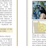Northeastern MN All-Outdoors Atlas & Field Guide pg. 146-147