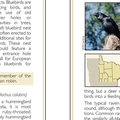 Northeastern MN All-Outdoors Atlas & Field Guide pg. 146-147