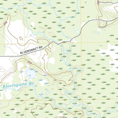 Bettie, TX (2019, 24000-Scale) Preview 2