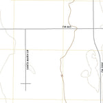Petronila NE, TX (2019, 24000-Scale) Preview 2