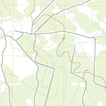 Skidmore NE, TX (2019, 24000-Scale) Preview 2