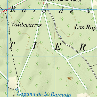 San Pedro de Latarce (0341)