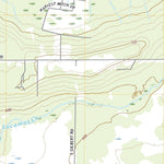 Onalaska, WA (2020, 24000-Scale) Preview 2