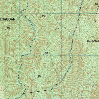 Badingkayu (1707-522)