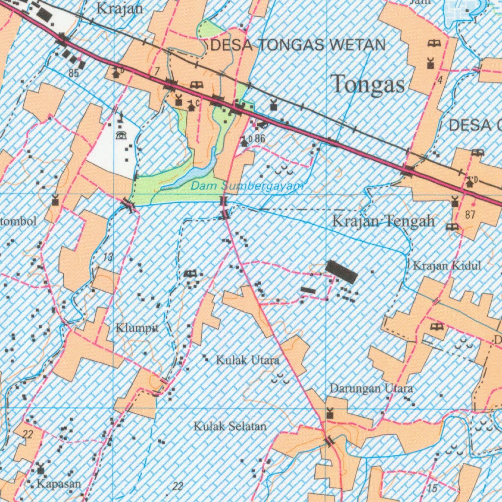 Nguling (1608-231) Map by Badan Informasi Geospasial | Avenza Maps