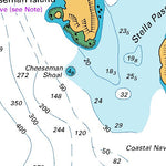 Curtis and Cheeseman Islands