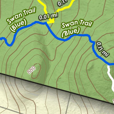 CLCT Swan Preserve Trails