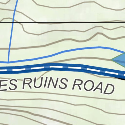 The Ted English Bolt 2022