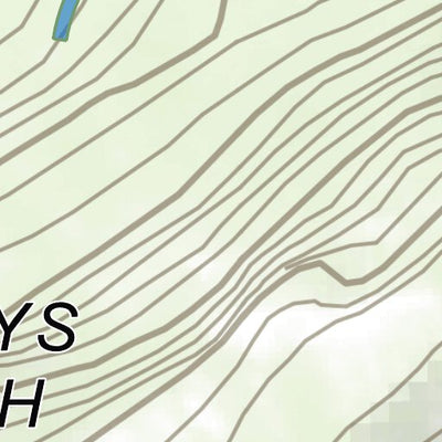 The Ted English Bolt 2022