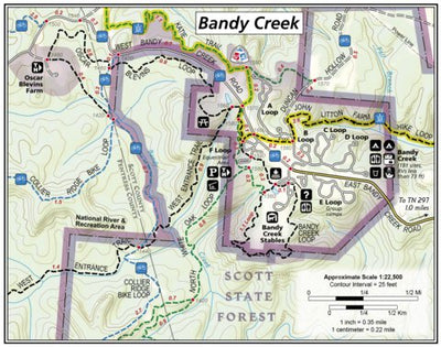 241 Big South Fork (Bandy Creek Inset)