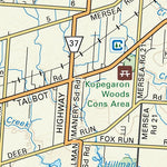 SOON03 Leamington - Southern Ontario Topo