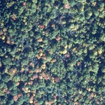 Zec Batiscan-Neilson / Lac Tessier 1