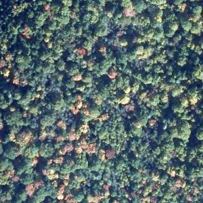 Zec Batiscan-Neilson / Lac Tessier 1