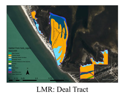 St Joseph Bay State Buffer Preserve LMR Deal Tract
