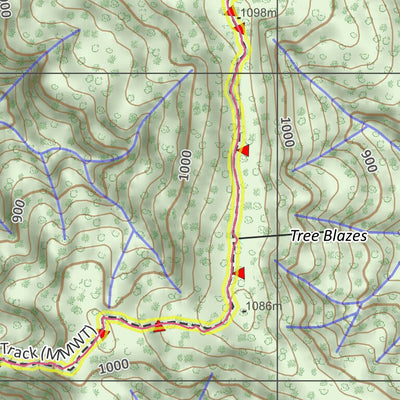 Fed Walks 2021 Walk15 Black River