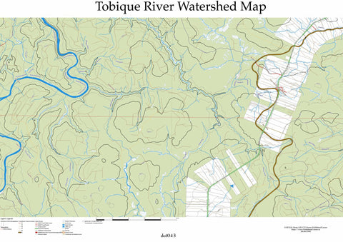 Tobique River dot043