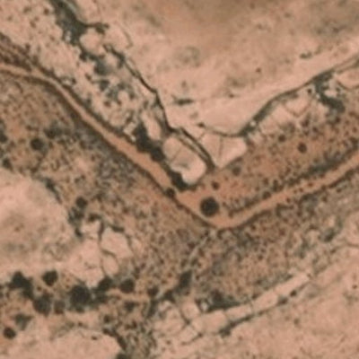 Cameron 30 Map