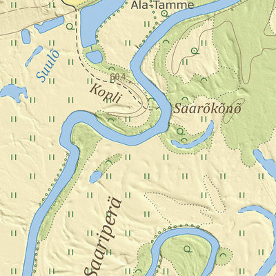 Saru küla, Rõuge vald
