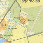 Tagamõisa küla, Viljandi vald