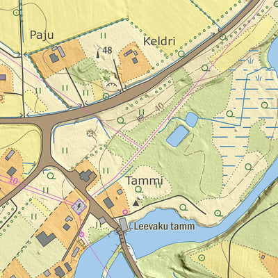 Jaanikeste küla, Räpina vald